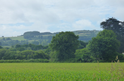 Terrain - 18639 m2 - Pedernec