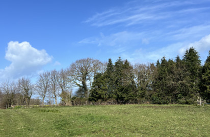 Terrain - 1000 m2 - Erquy