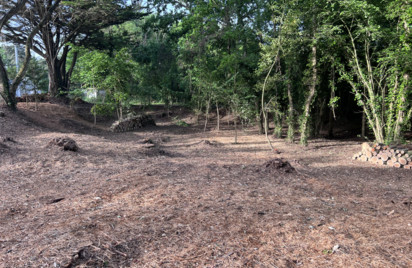 Terrain - 2130 m2 - Frehel