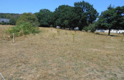 Terrain - 2246 m2 - Caurel