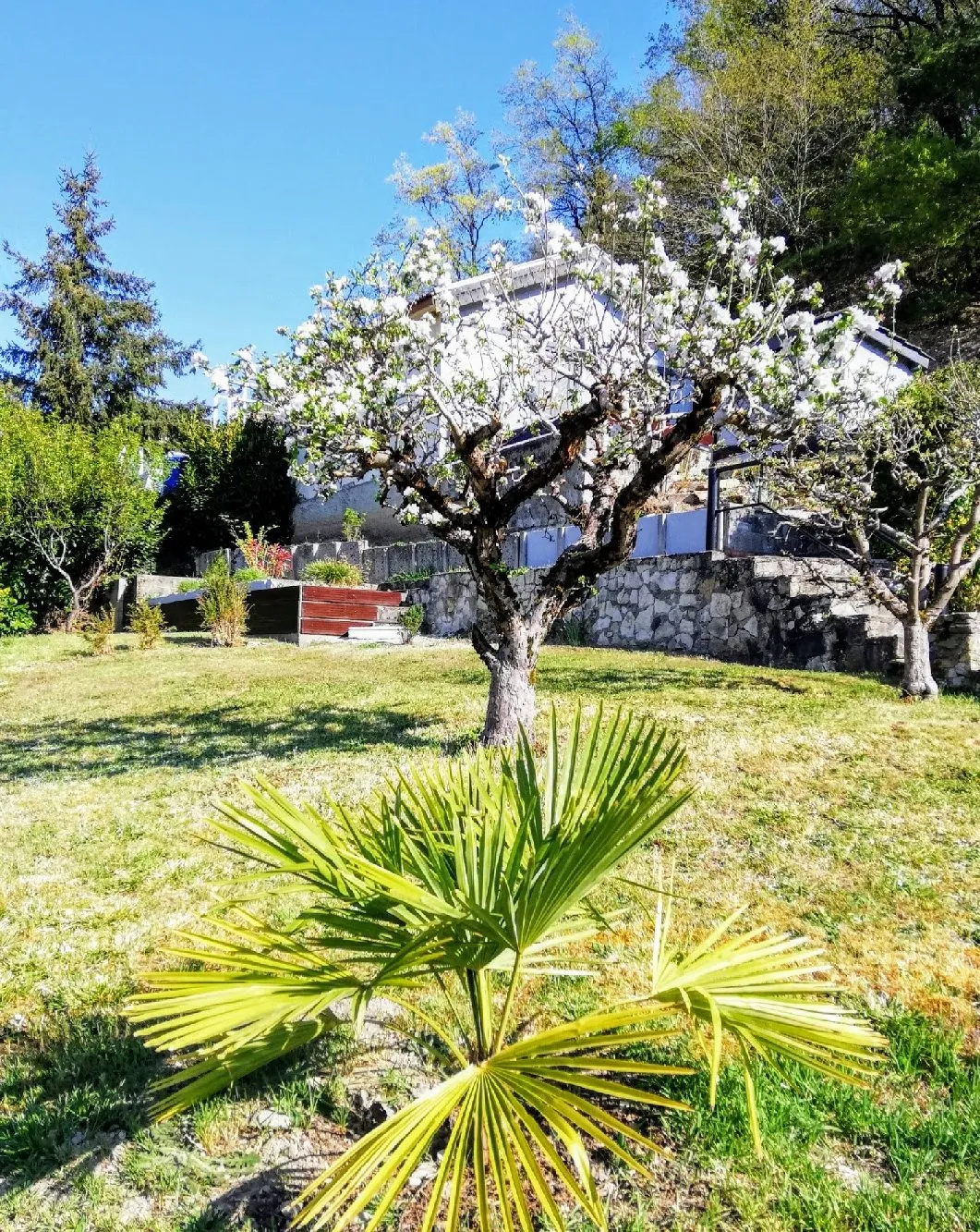 Jardin