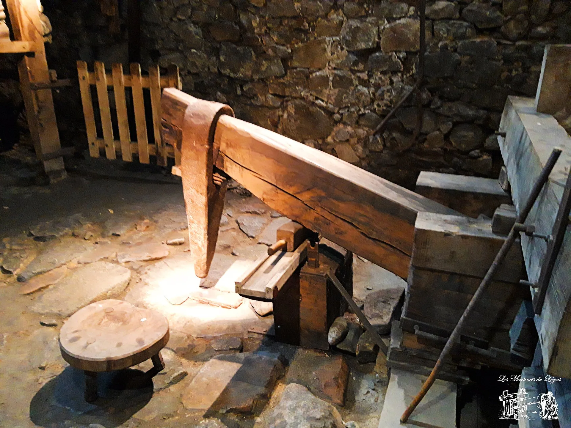 Visite des Martinets du Lézert