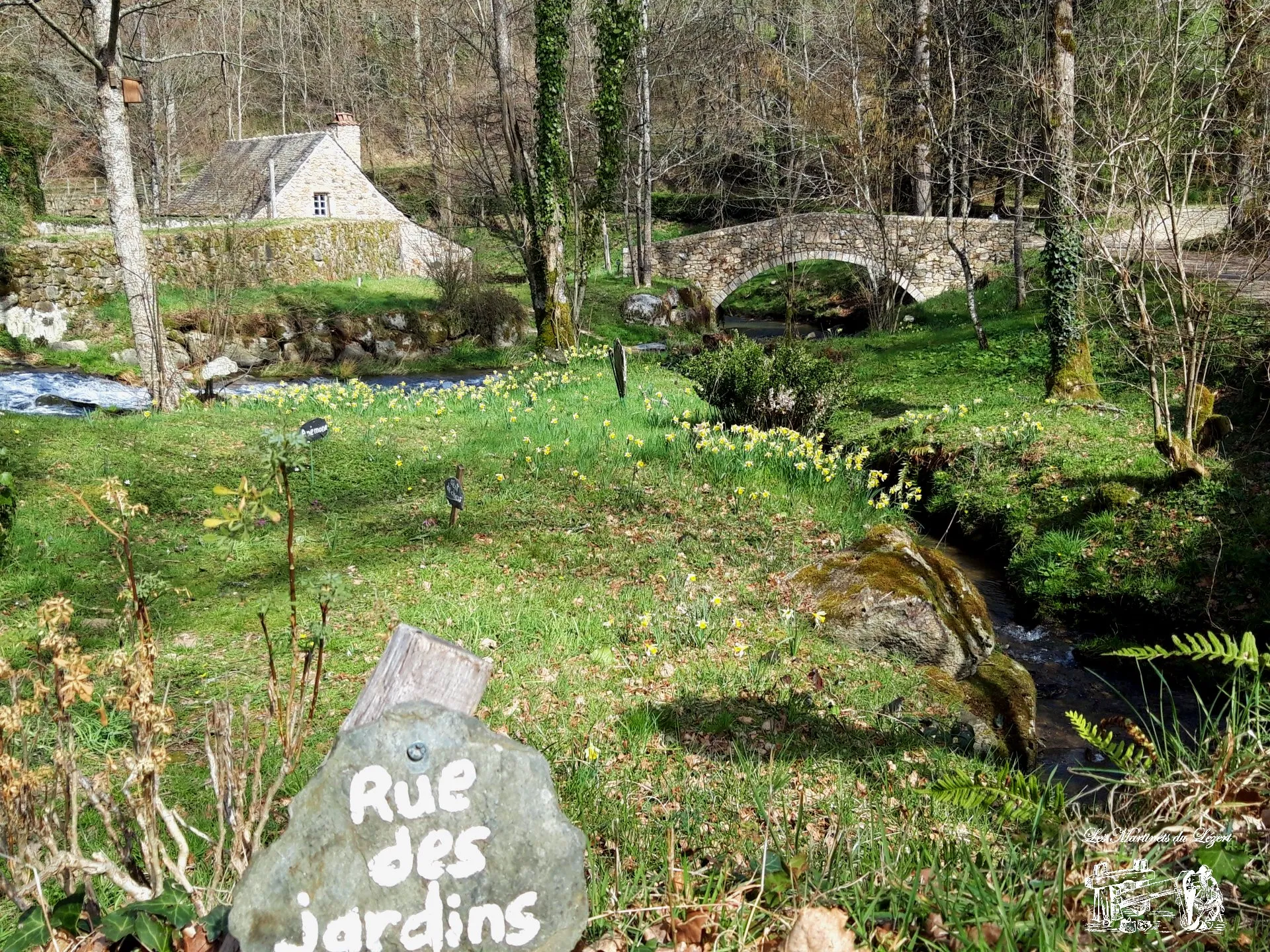 Visite des Martinets du Lézert