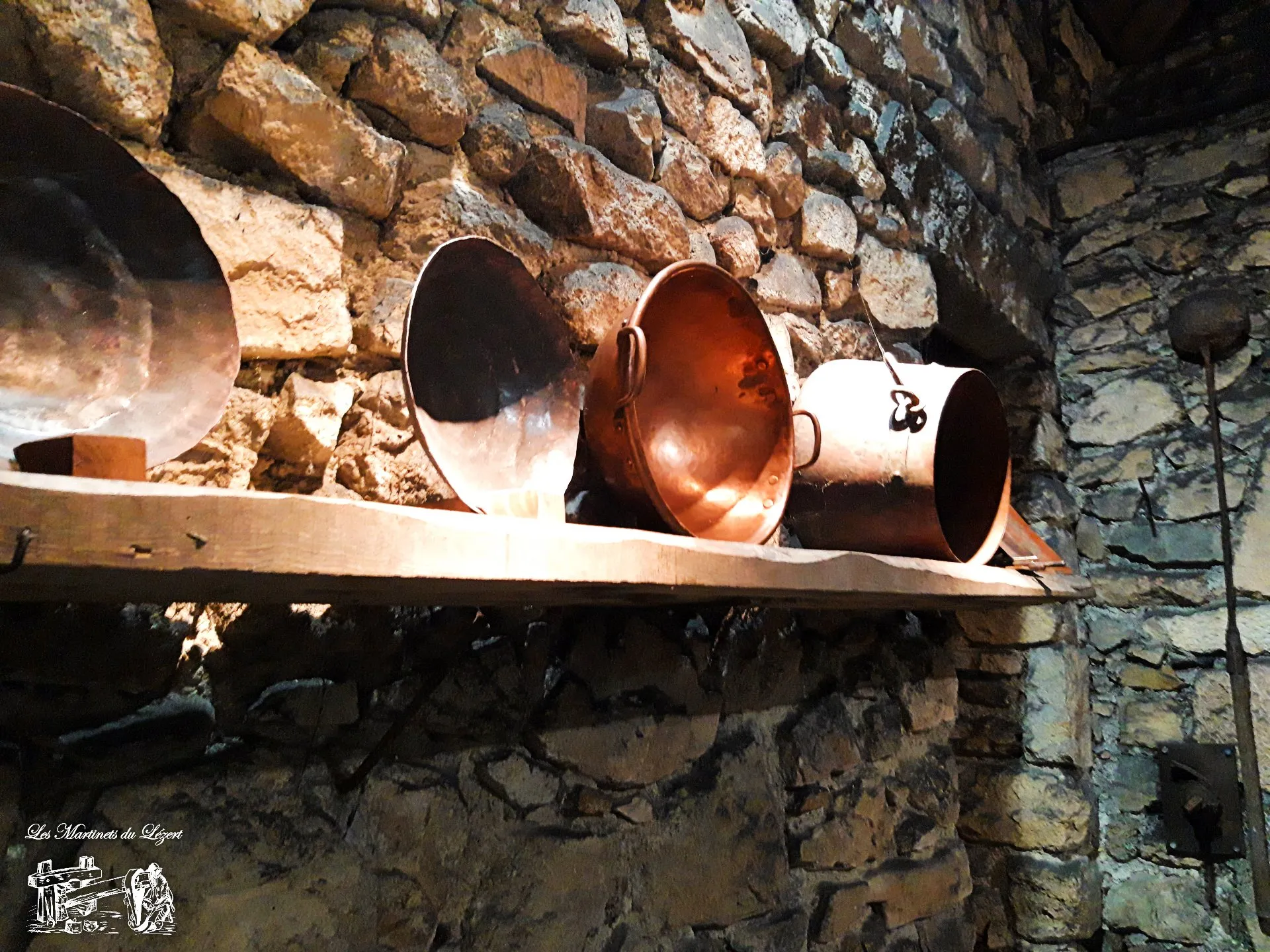 Visite des Martinets du Lézert