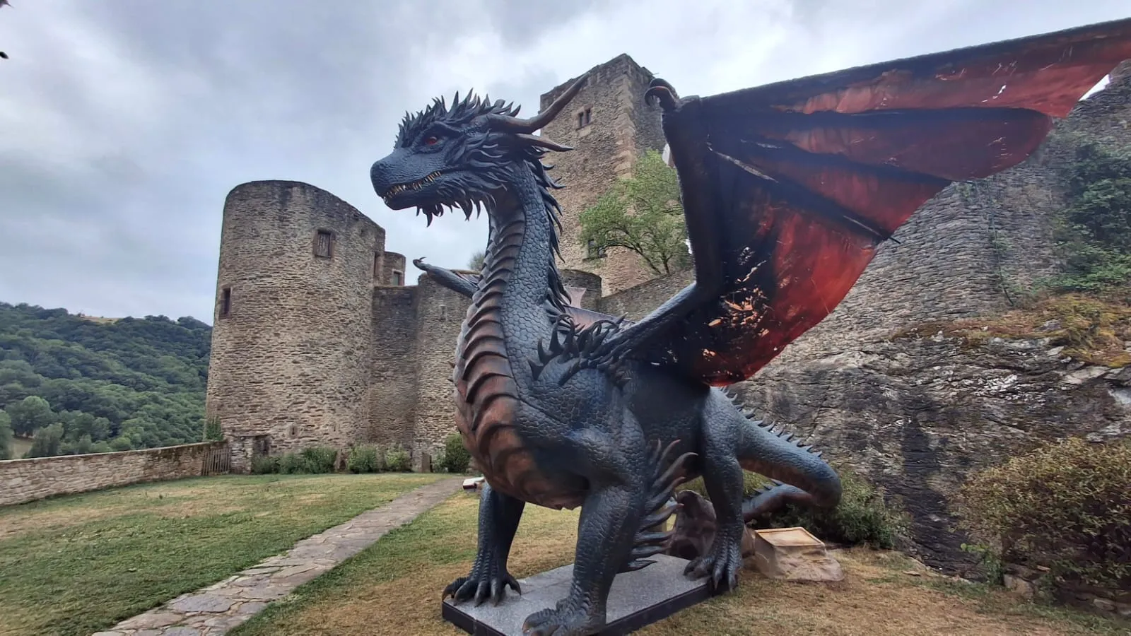 DRAGON