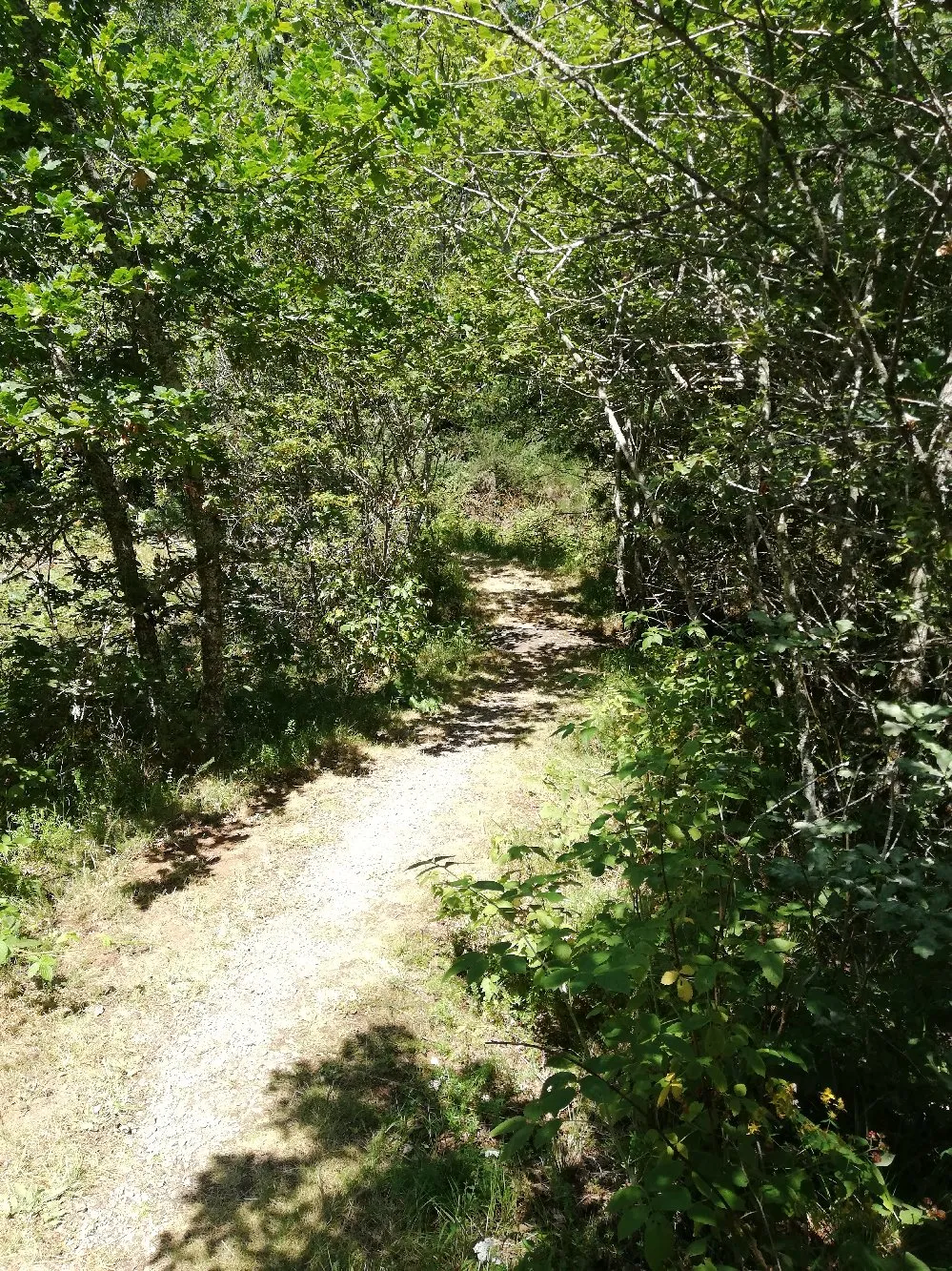 Sortie randonnée pédestre