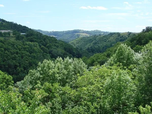 ROUS Jean-Marie - AYG1078