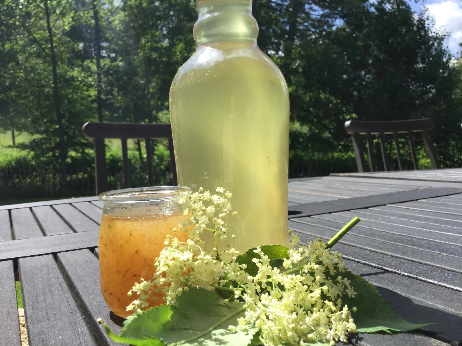 Sirop et confiture de fleurs de sureaux