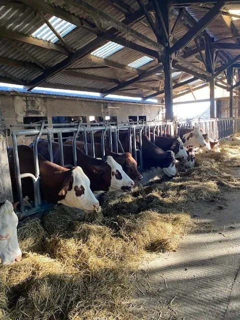 Visite de la ferme de Recoulès