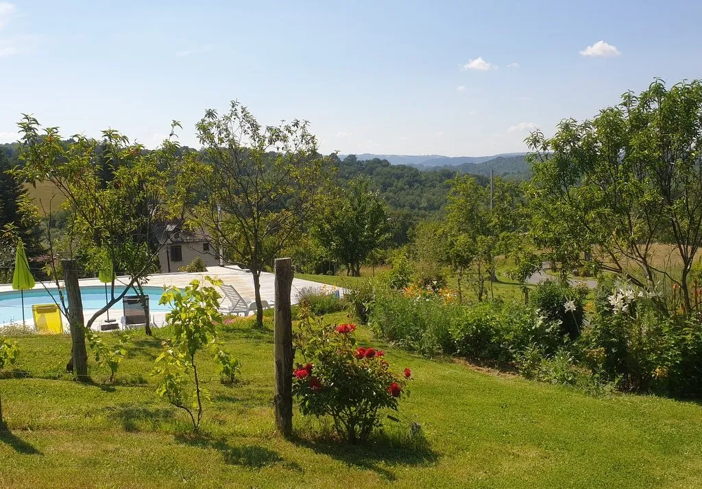 Piscine vue du bassin