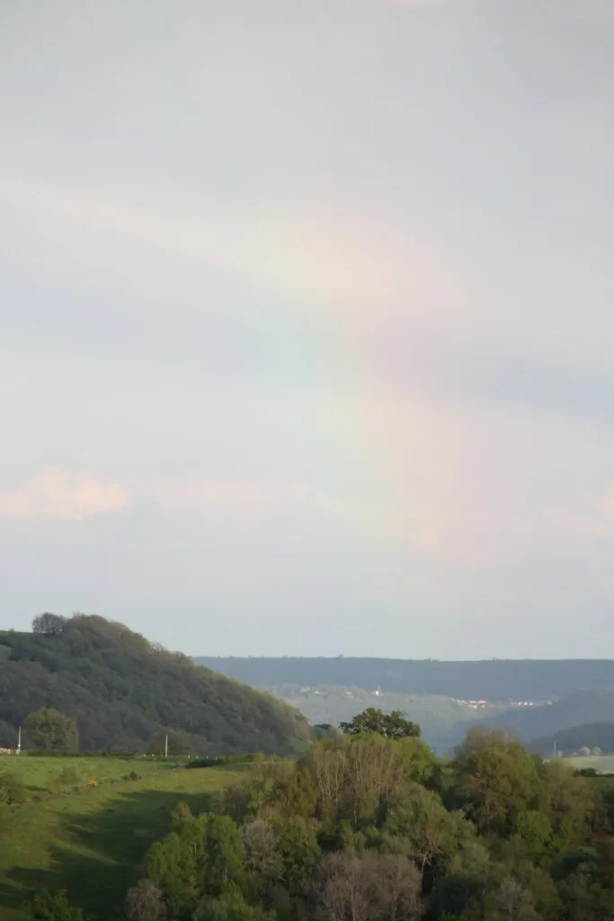 Une Sorcière sur le toit