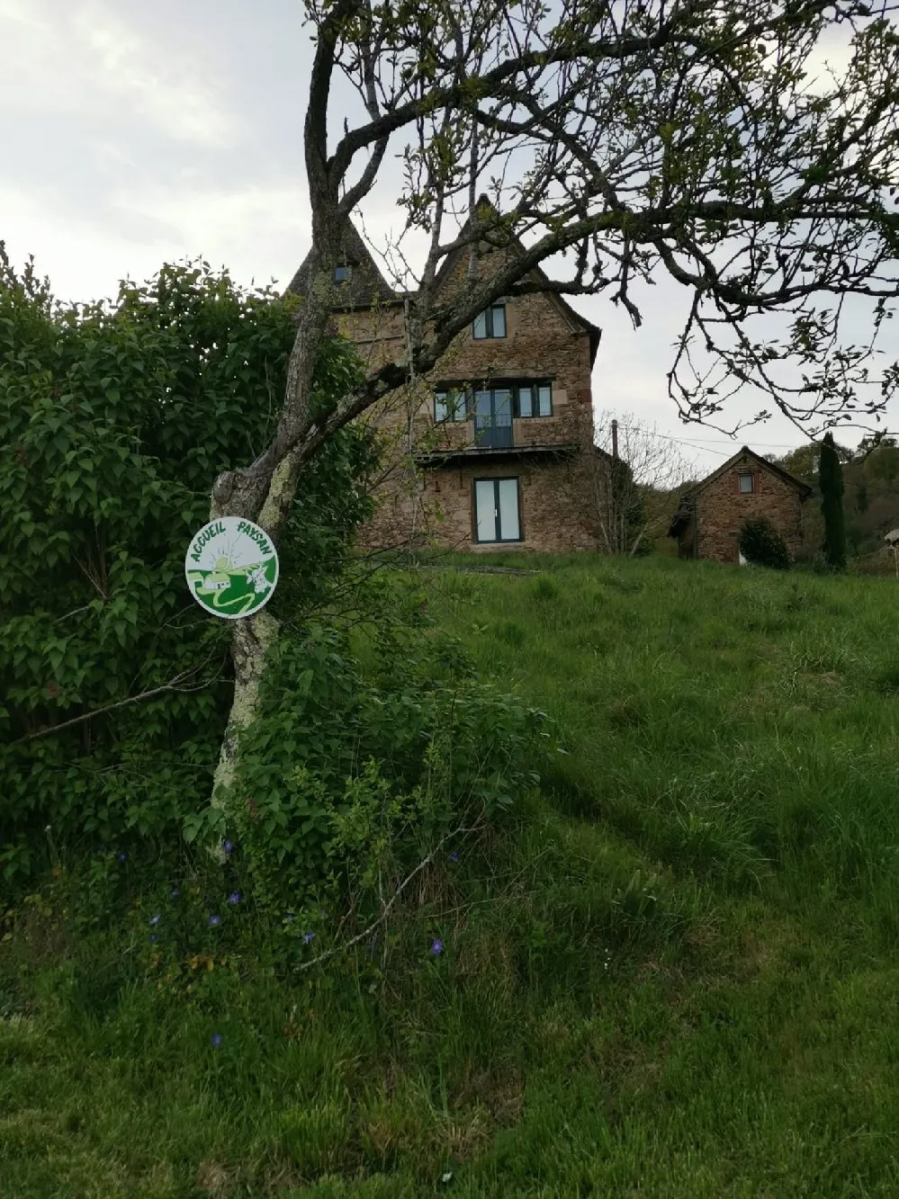 La maison, Centaurée et Safran