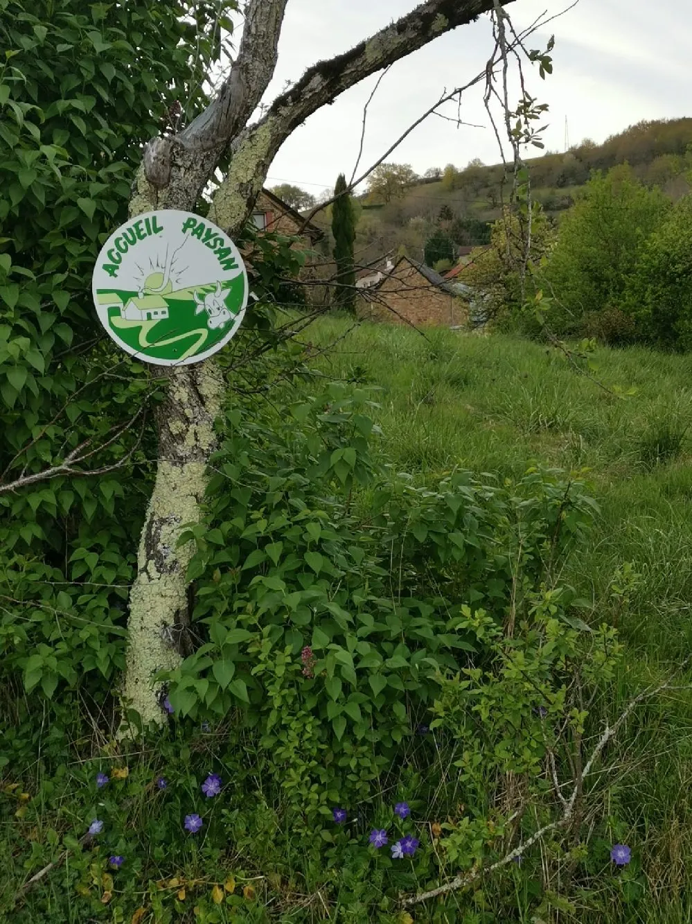 Accueil Paysan