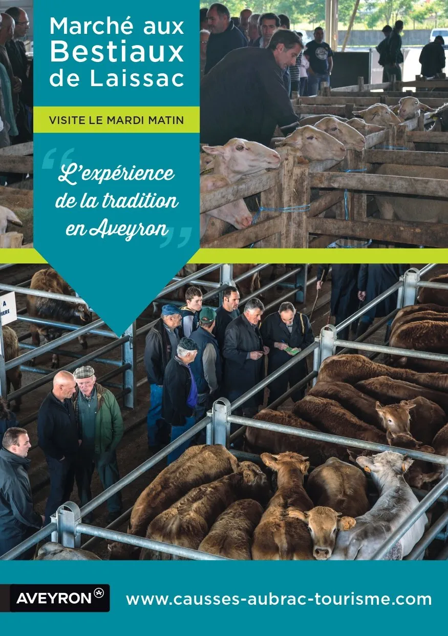 Visite guidée du marché aux bestiaux - mardi matin - sur réservation