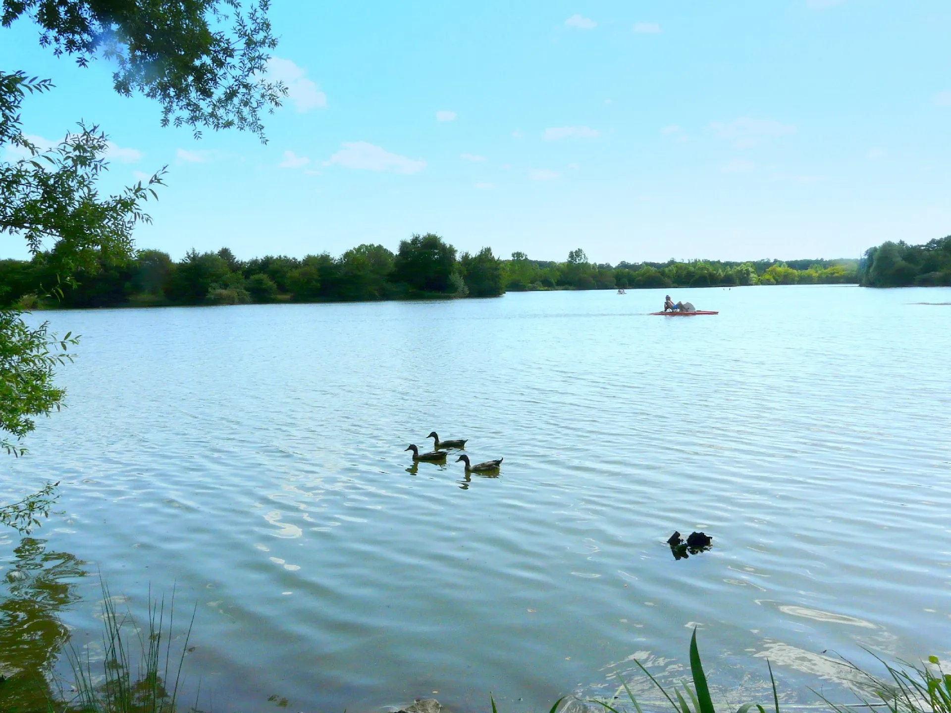 Camping Lac aux Oiseaux