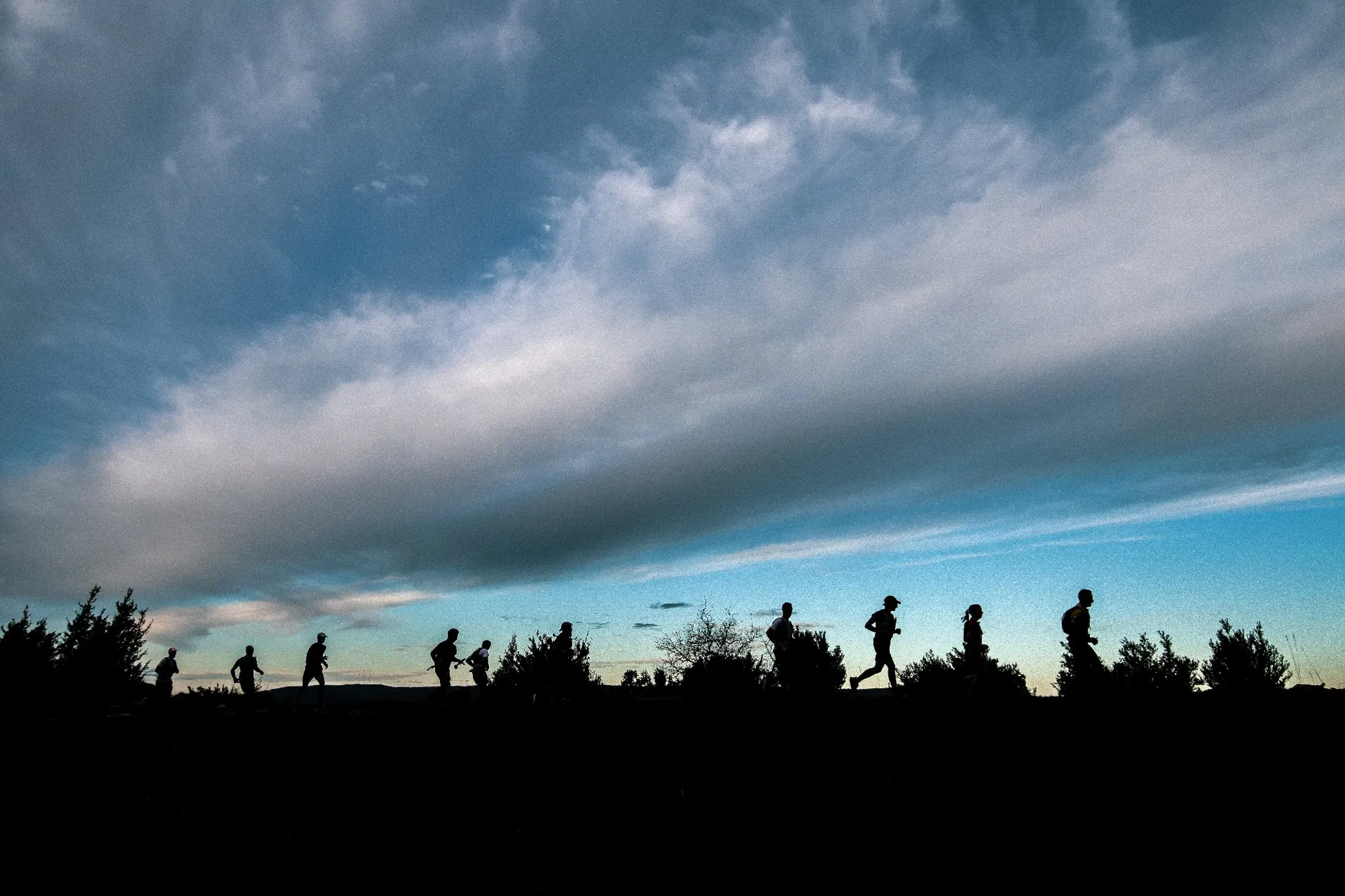 Festival des Templiers (trail) 2023