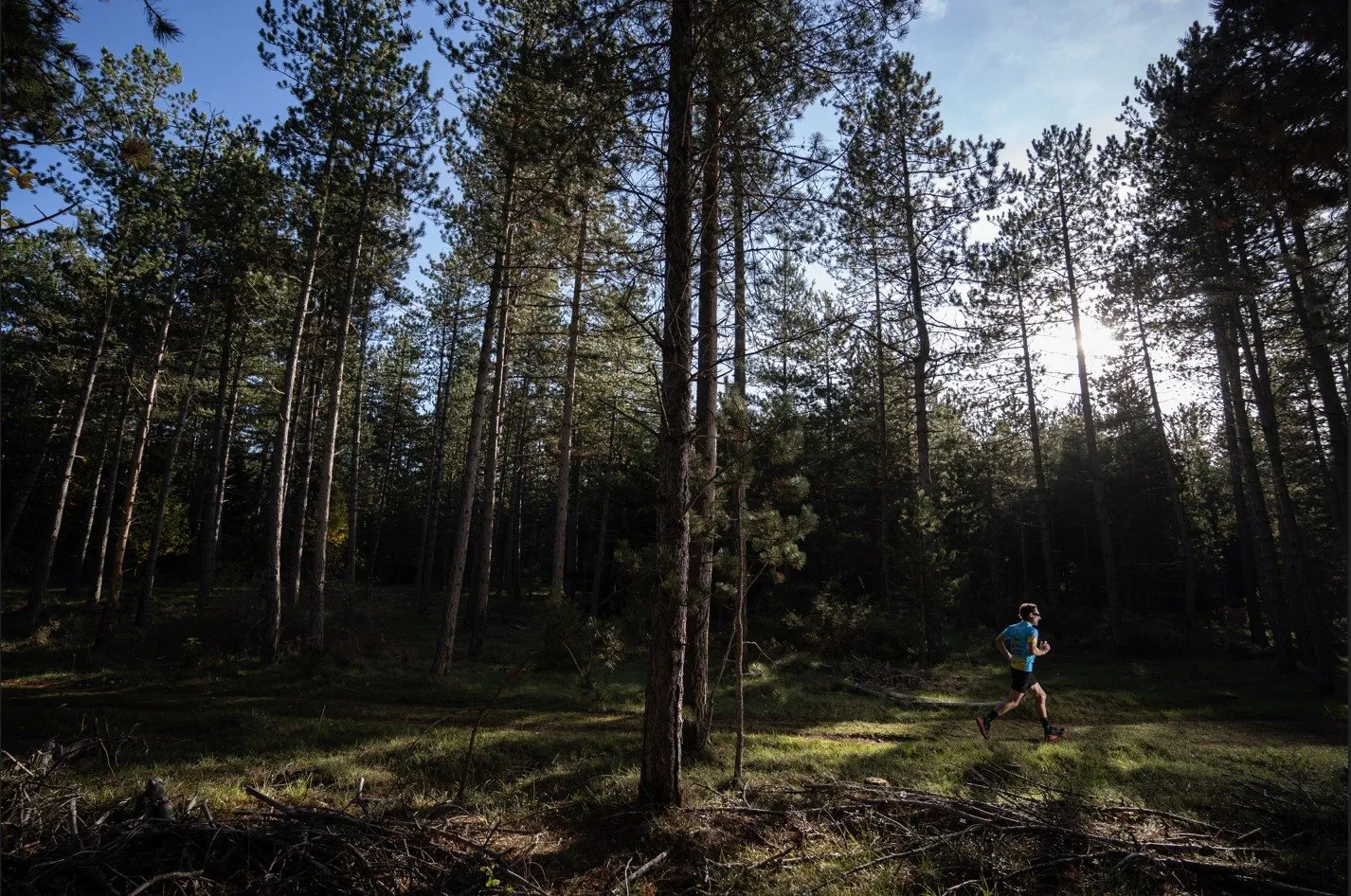 Festival des Templiers (trail) 2023