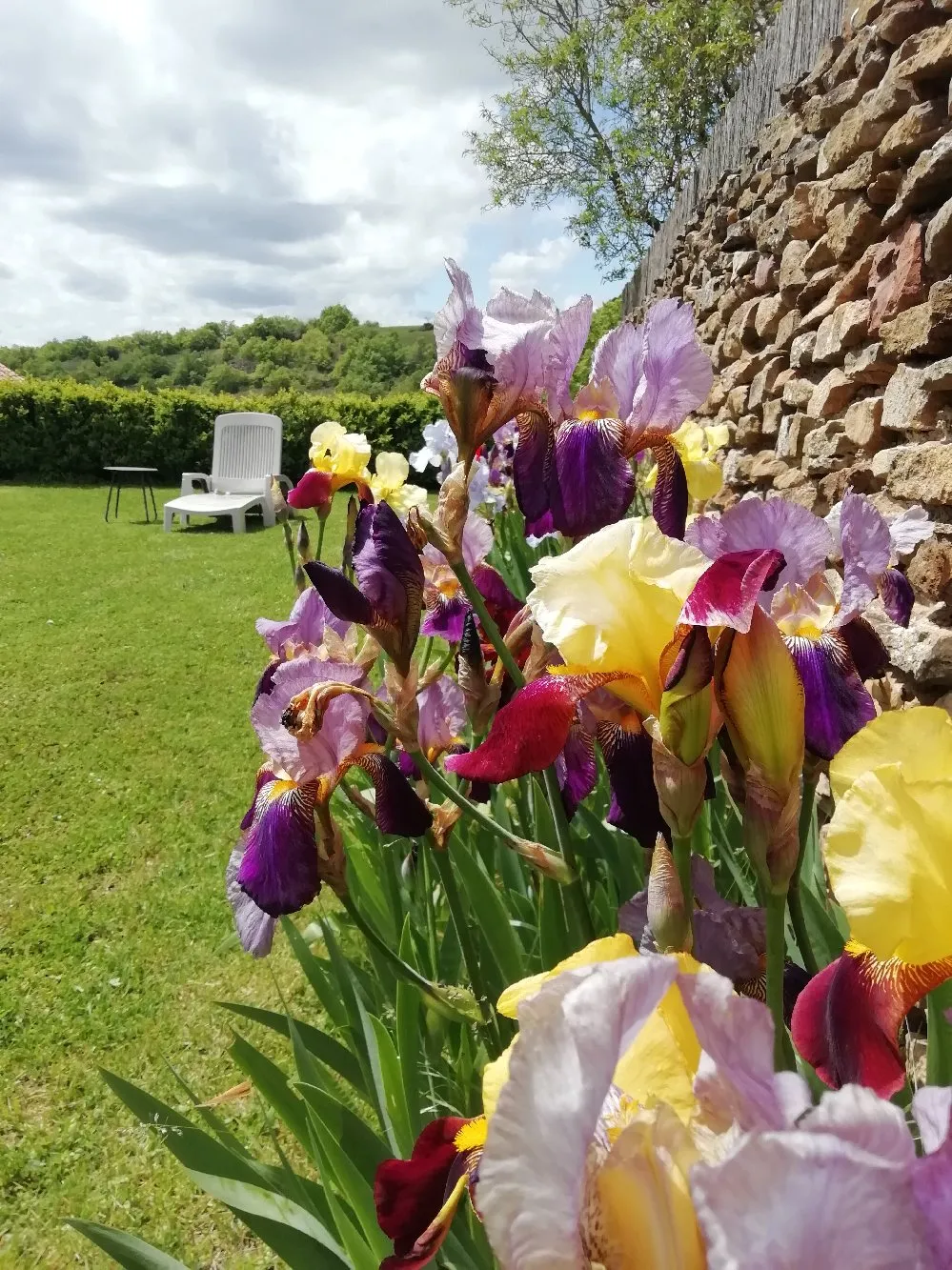La Grangette - GG27