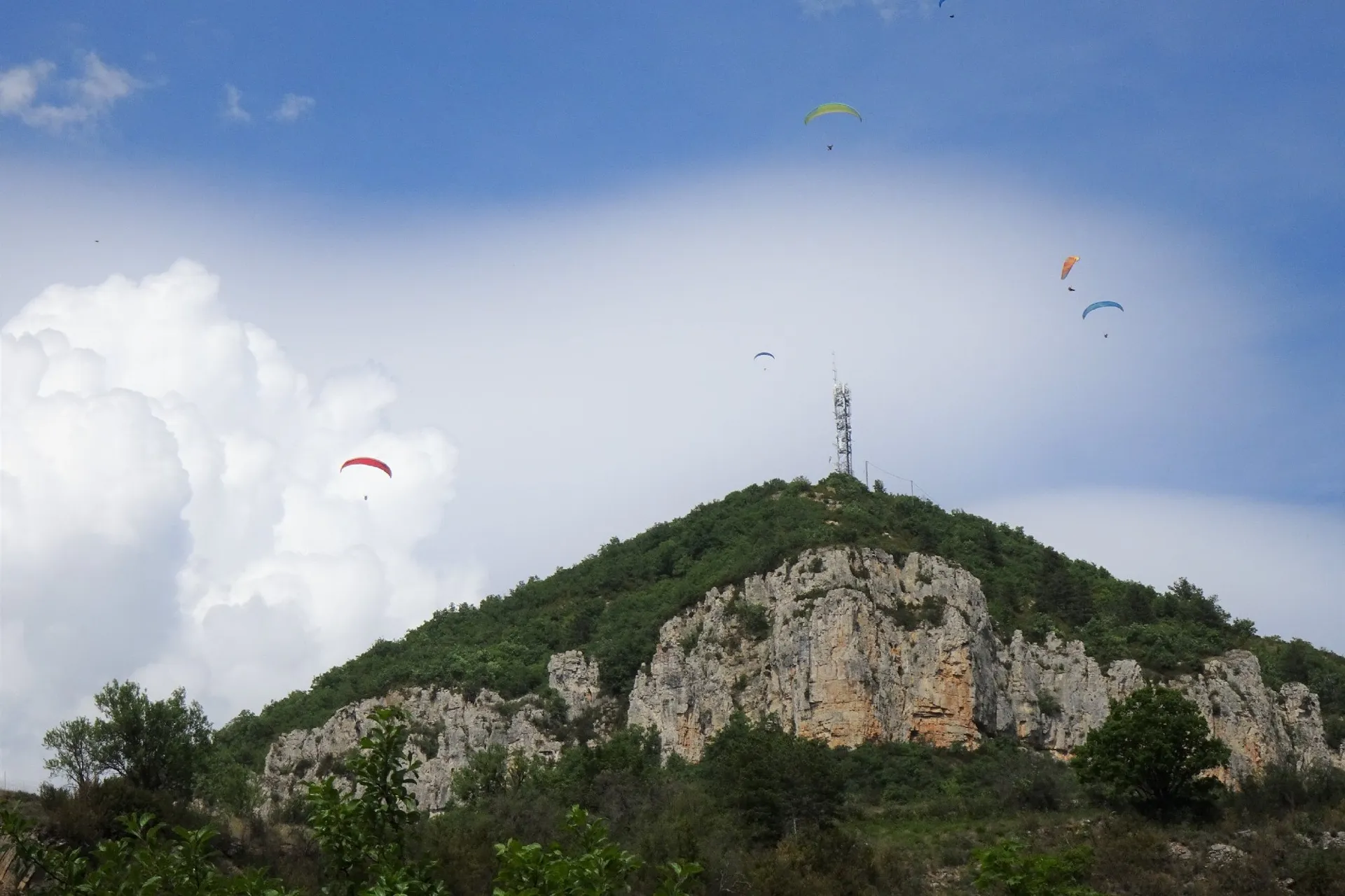 Les Amandiers - Millau - Aveyron