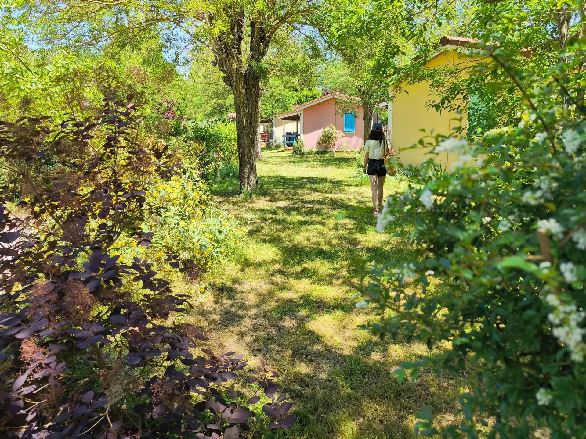 Le hameau des genêts