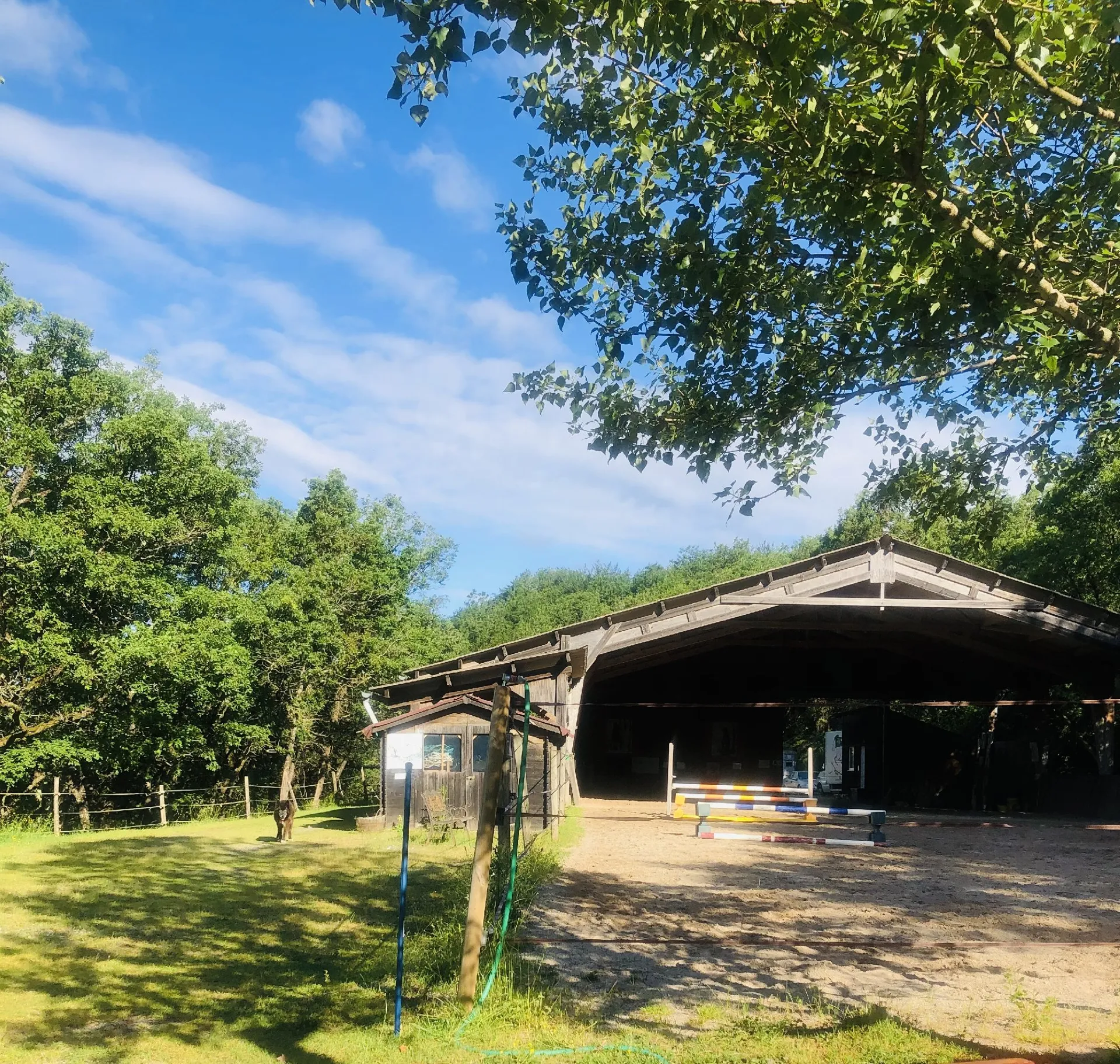 Ecole d'équitation - Ecurie Qualina