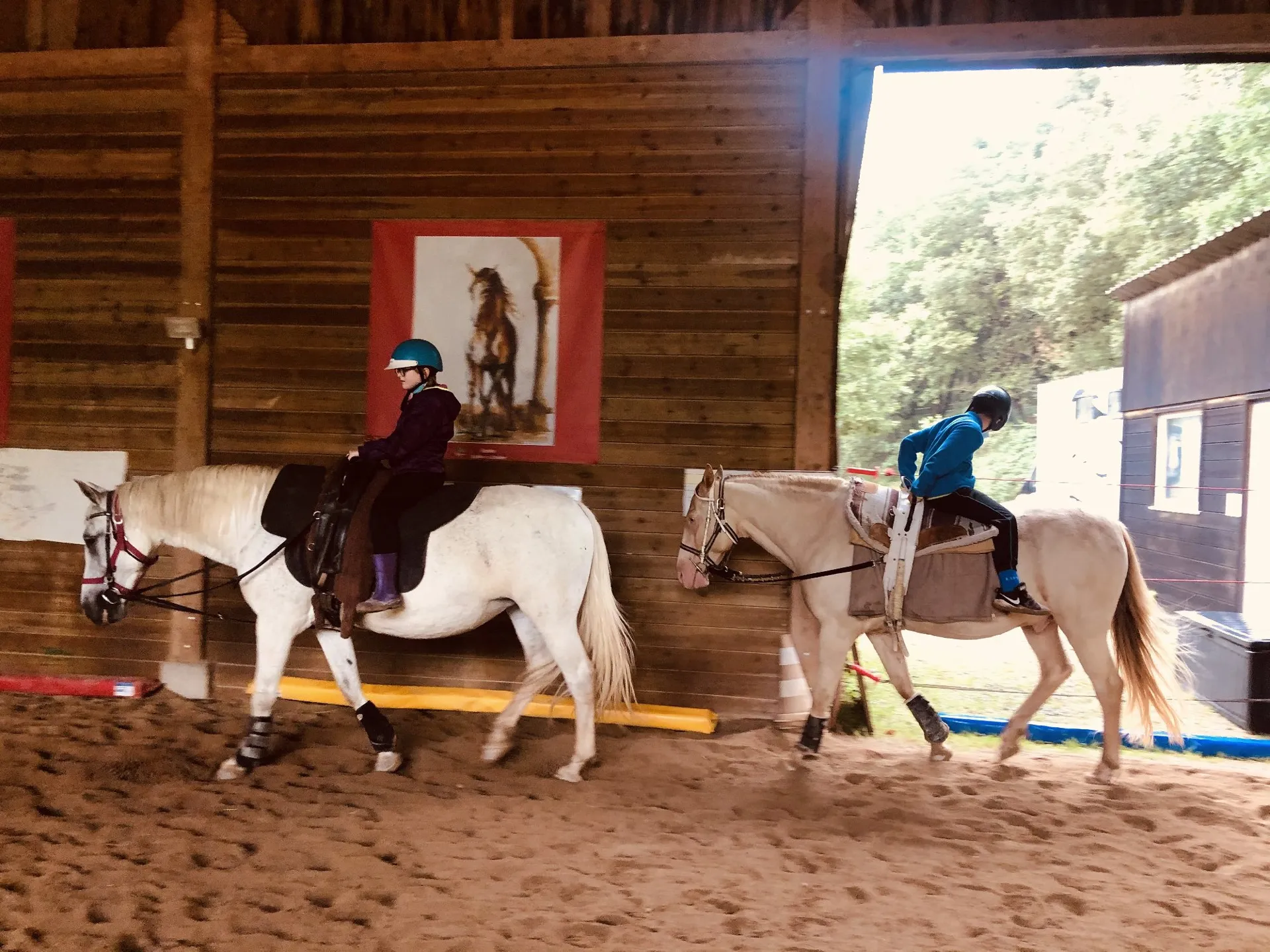 Ecole d'équitation - Ecurie Qualina