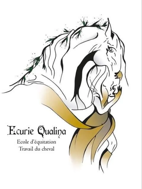 Ecole d'équitation - Ecurie Qualina