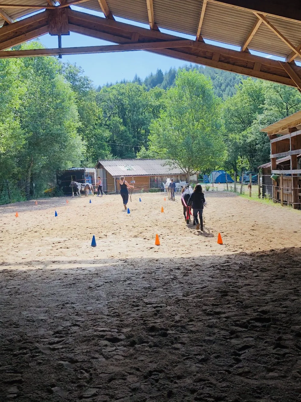 Ecole d'équitation - Ecurie Qualina