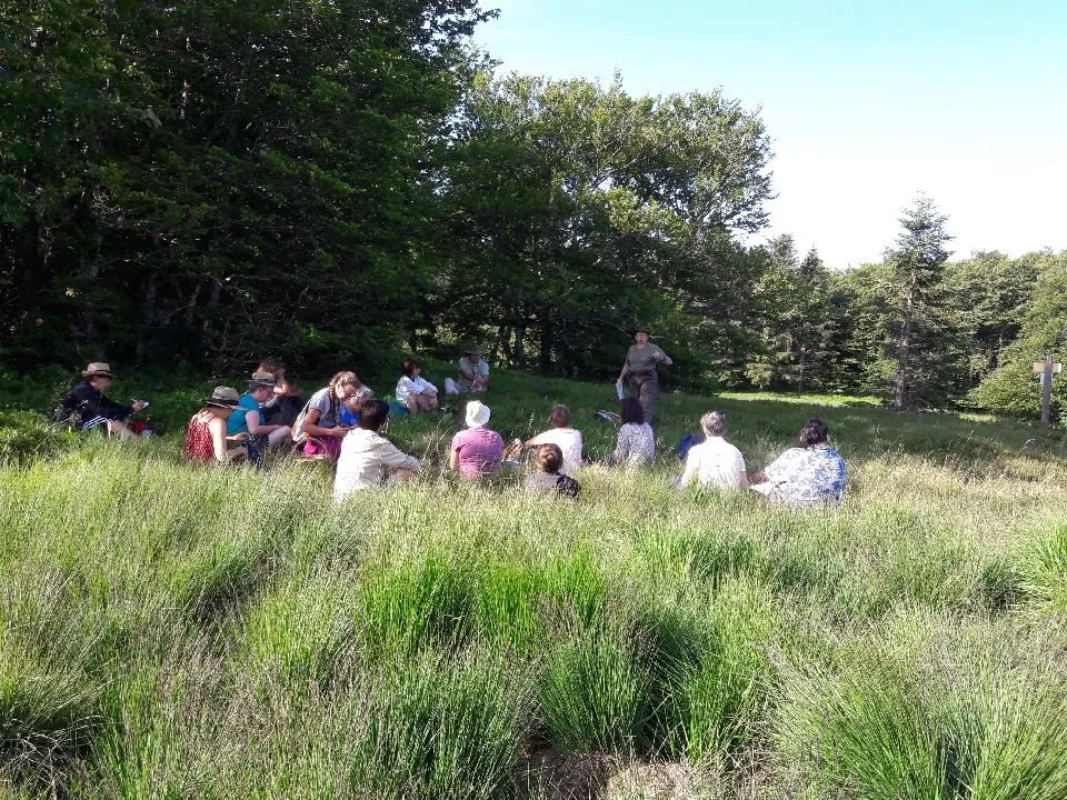 Tourbière de la Vergne Noire : 