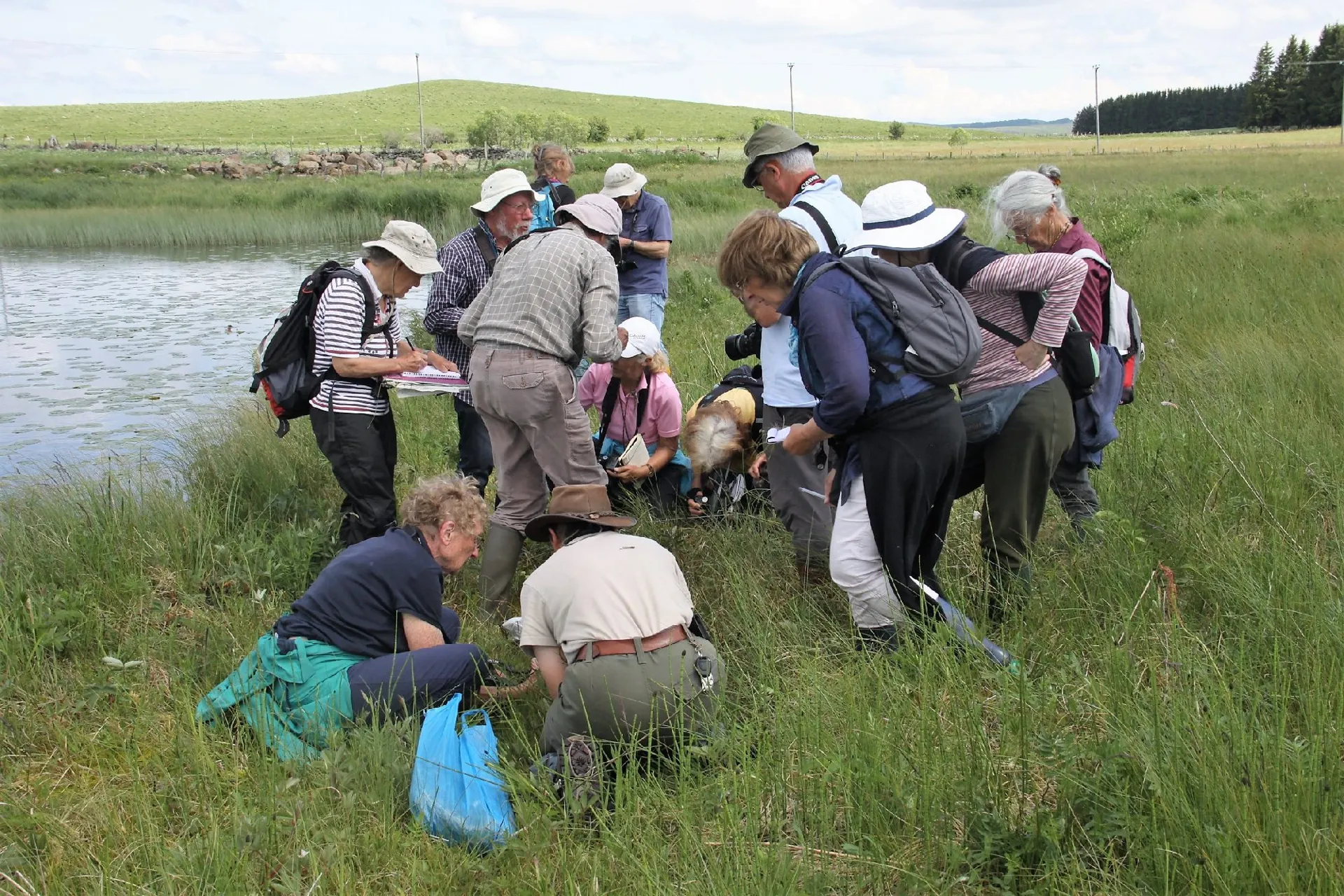 Sortie avec une association de botanistes au lac des Salhiens