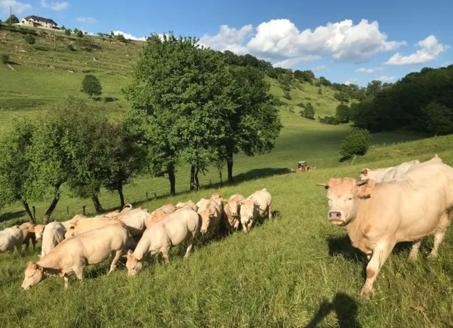 Ferme de Gandalou