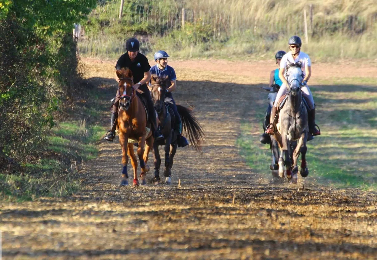 Piste de galop de la Cazotte
