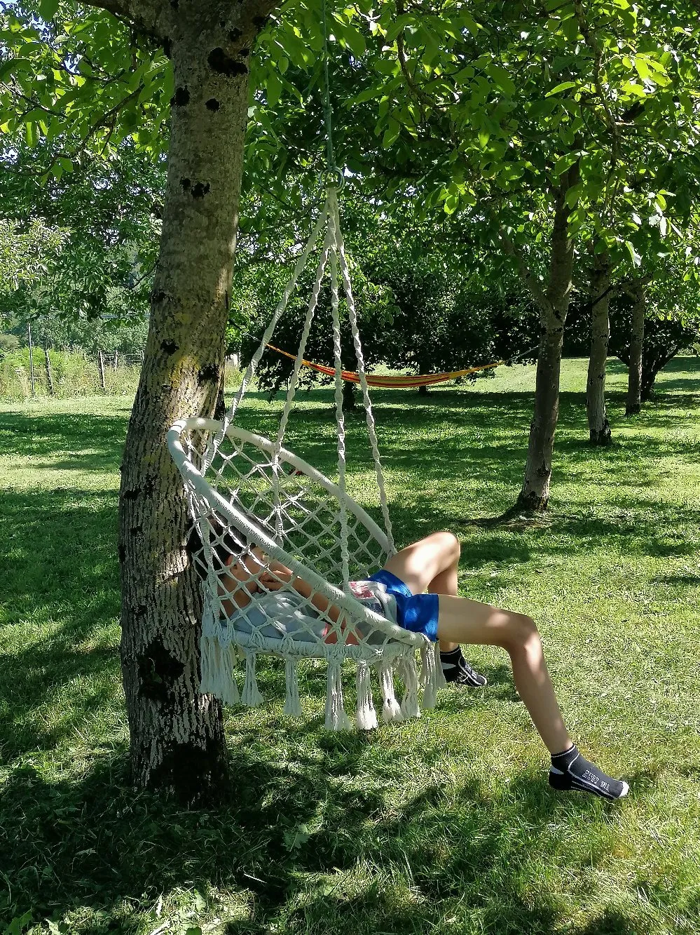 Gîte de Bernadette et Bernard près de Conques_Détente dans le verger
