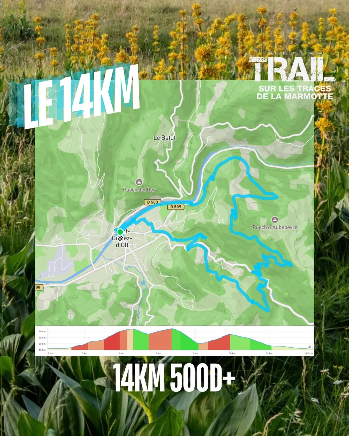 Trail : sur les traces de la Marmotte