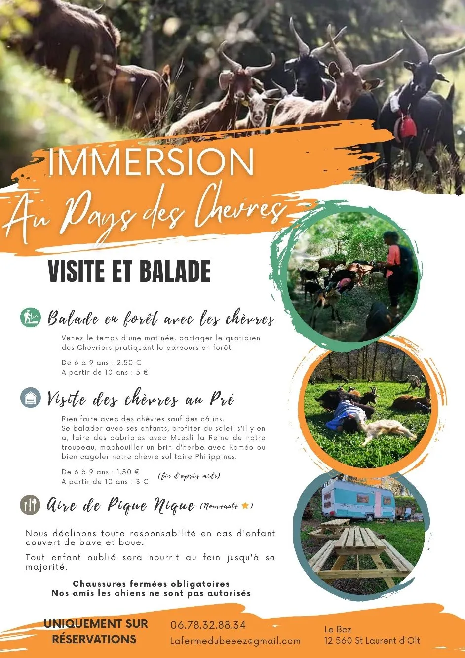 Visite des chèvres au pré à la Ferme du Bêêêz