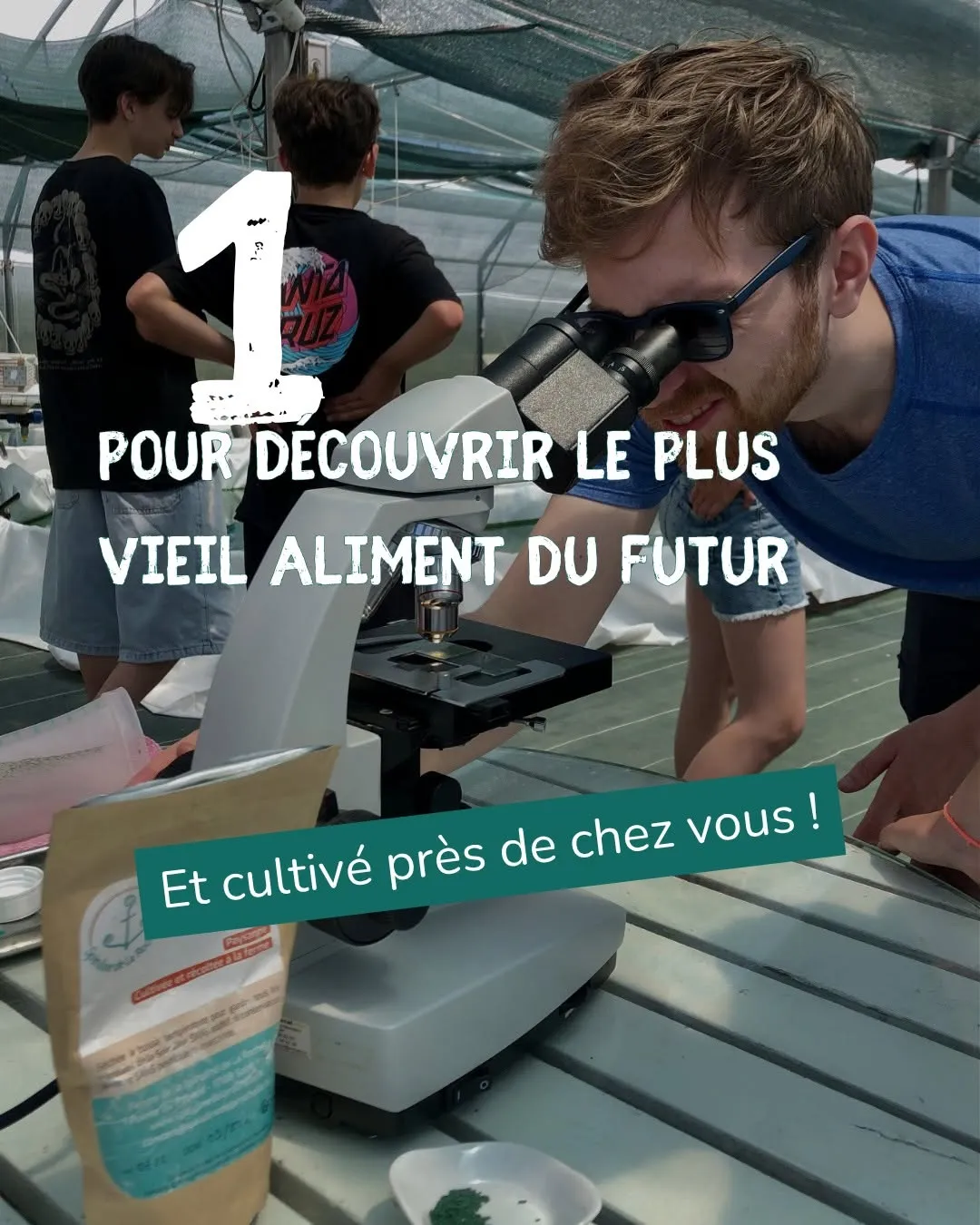 Fête de la Spiruline