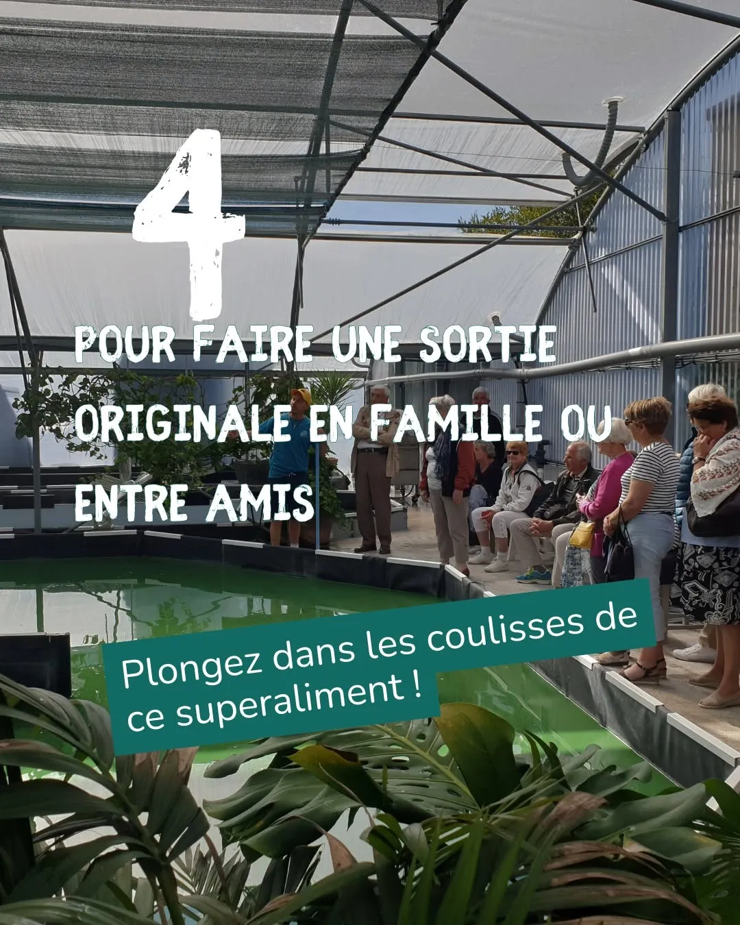 Fête de la Spiruline