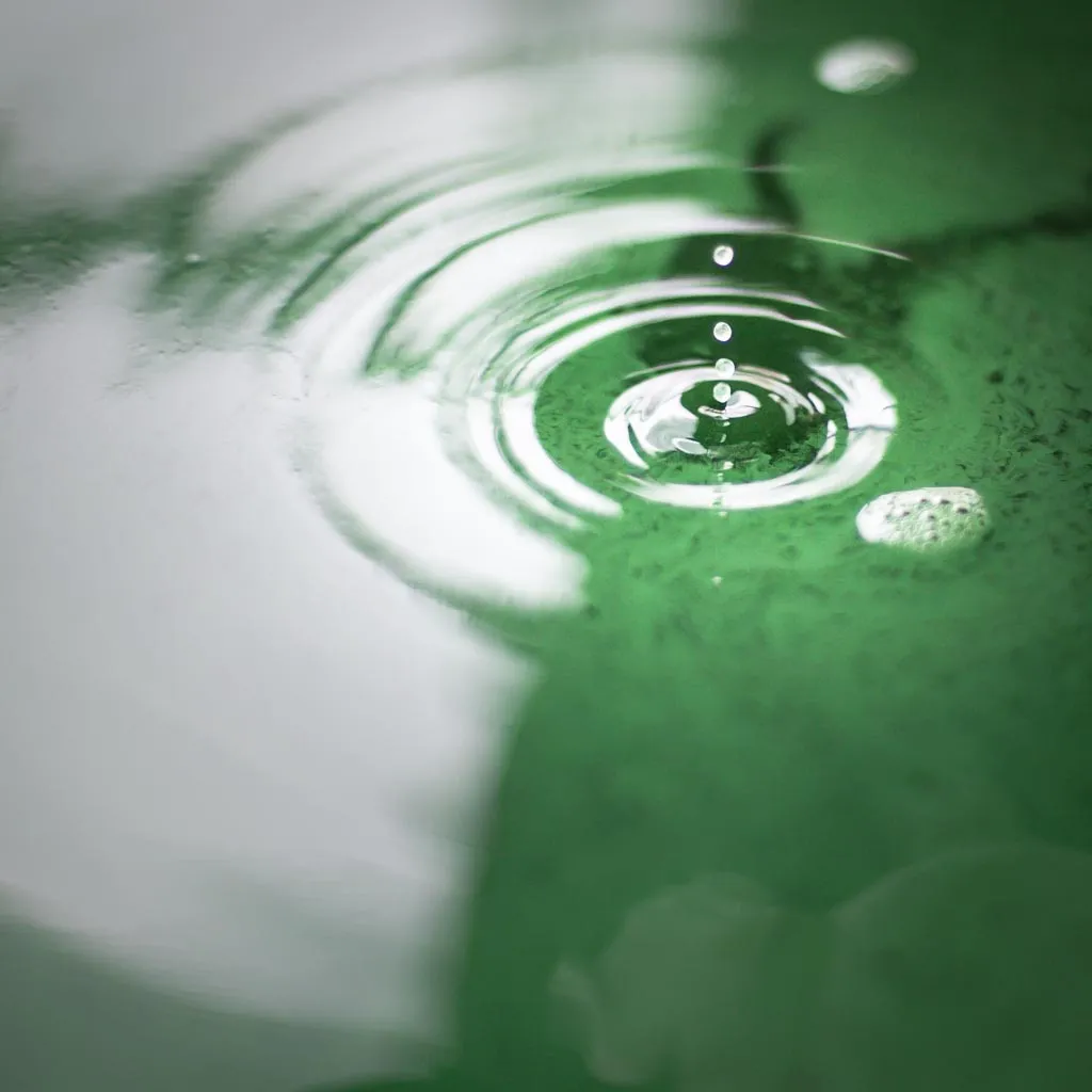 EARL Spiruline des Grands Causses