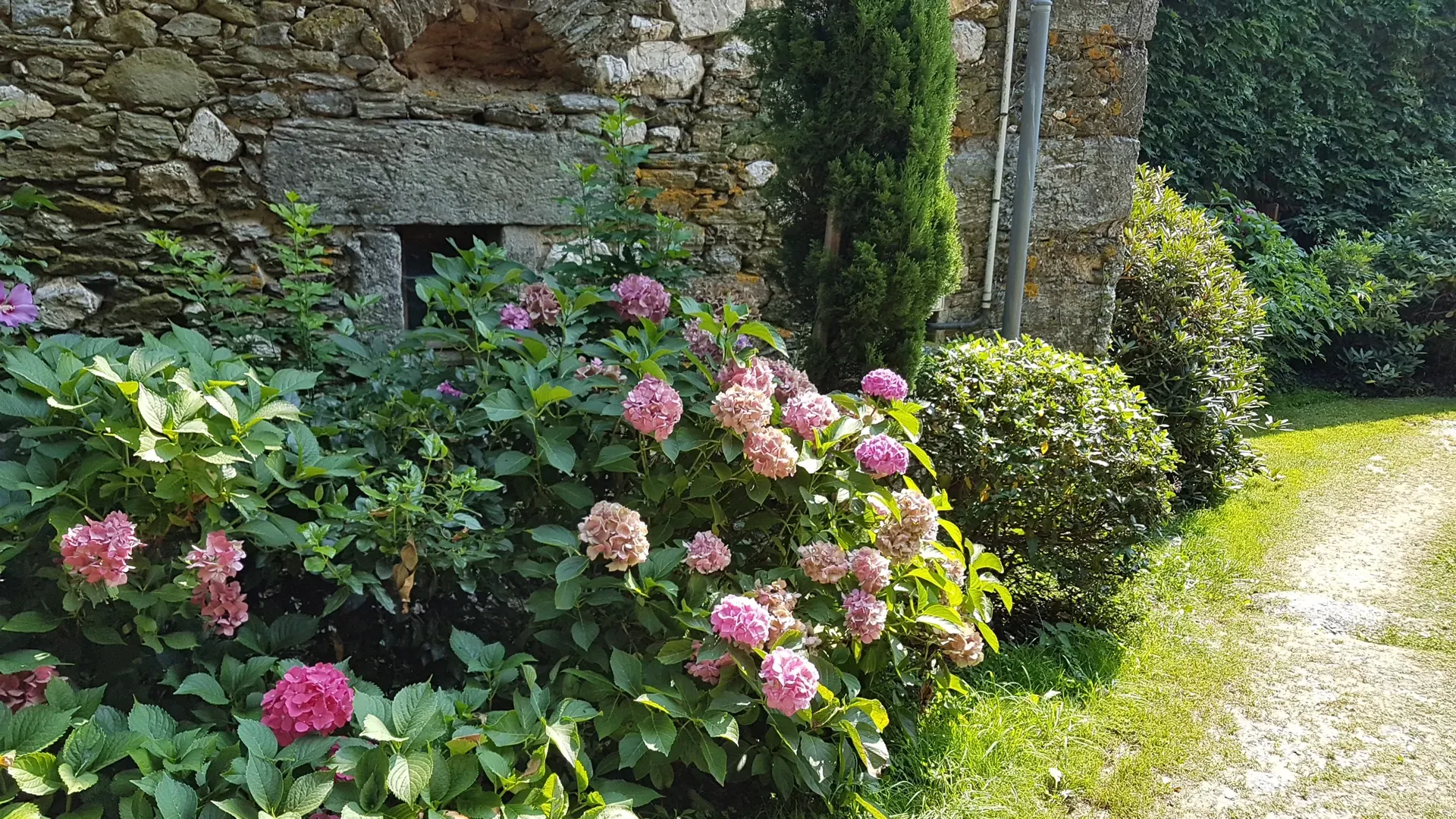 Rue de l'arrivée avec des hortensias sur la voie gauche