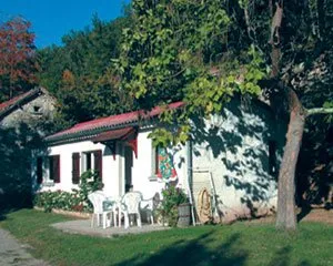 Mme Irène FARET - AYG3129