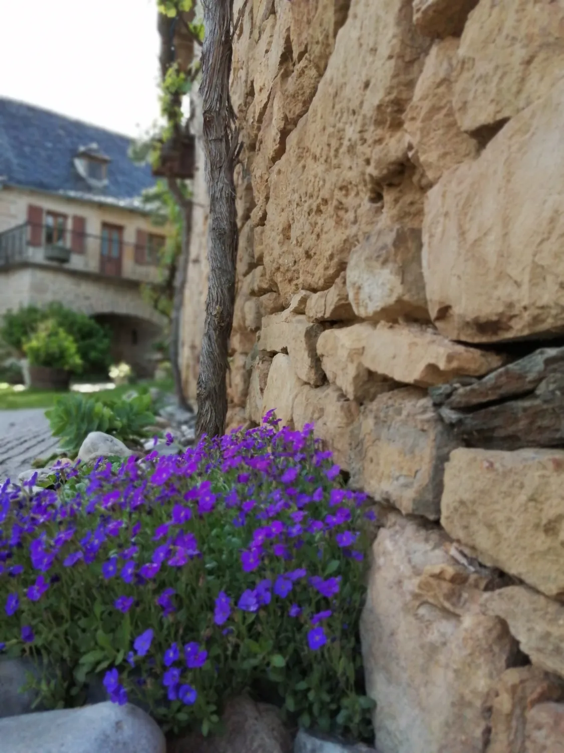 Domaine de Majorac - Le 1765