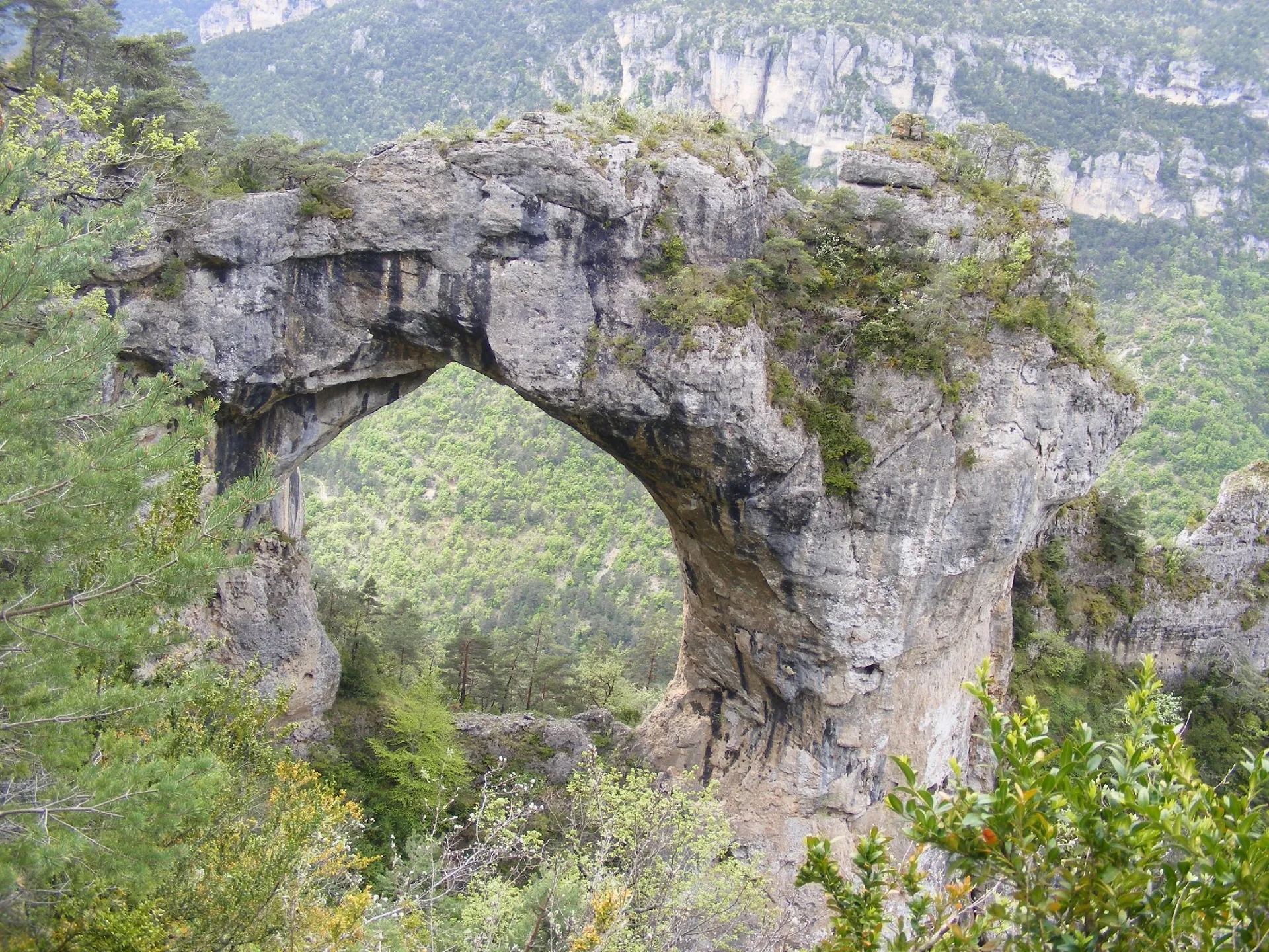 Gîte Les Volets Bleus Cinglegros dans la vallée du Tarn