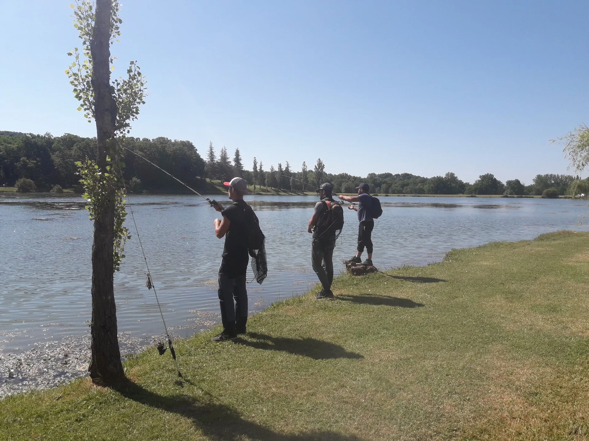 La Grange de Nespes : Les Sauges