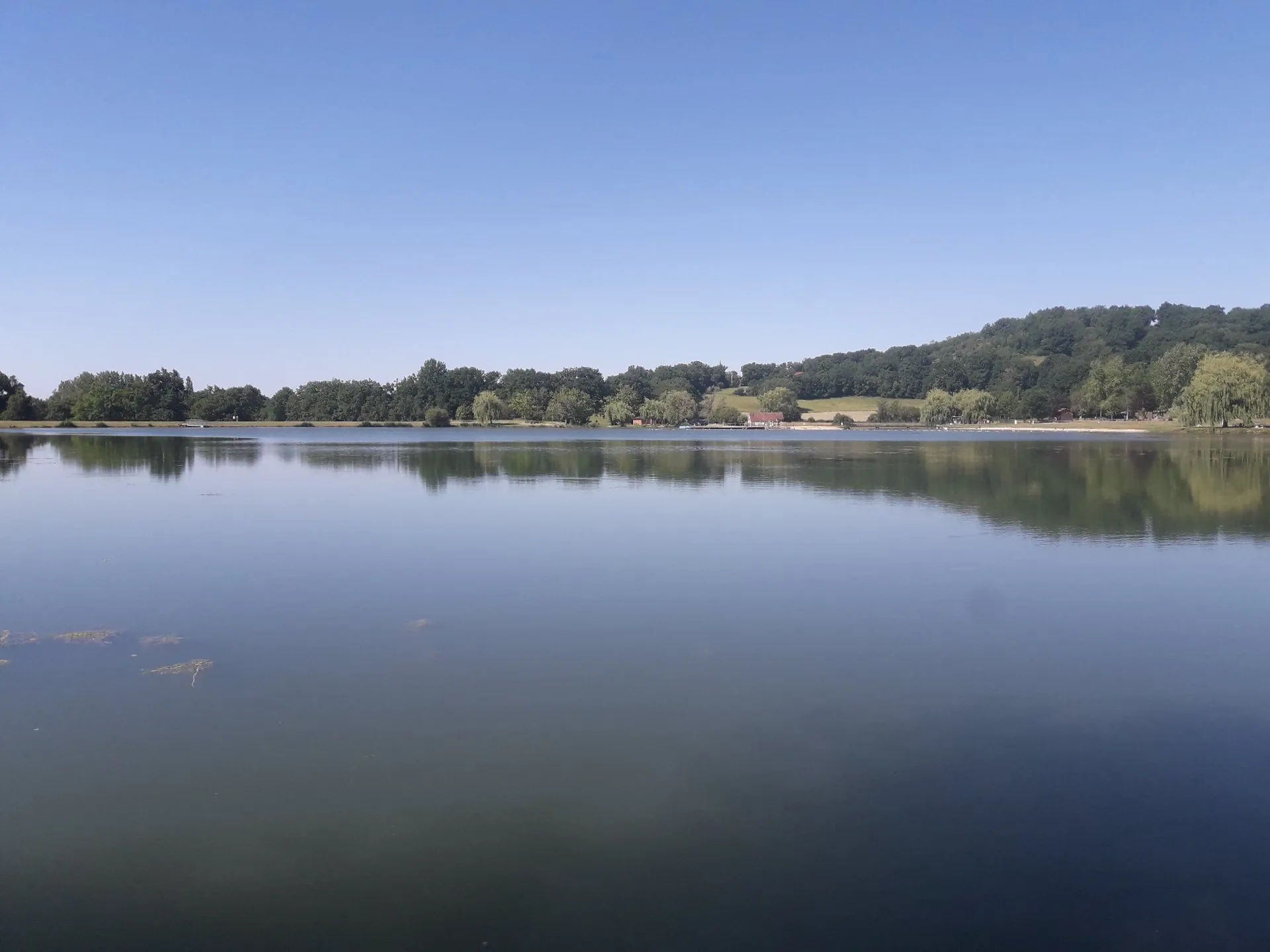 La Grange de Nespes : Les Sauges