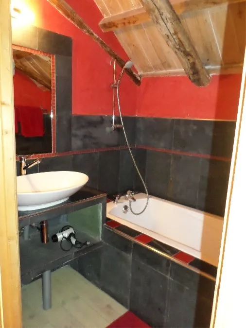 La belle poule faverolle