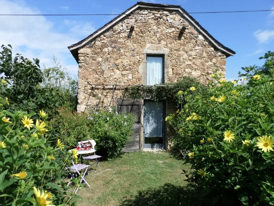 La belle poule faverolle