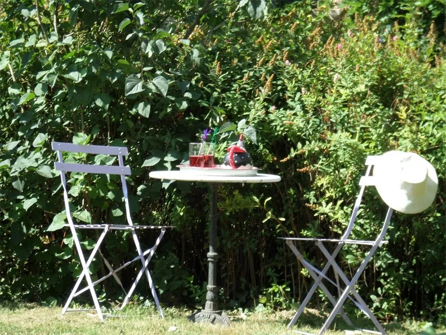 La belle poule faverolle