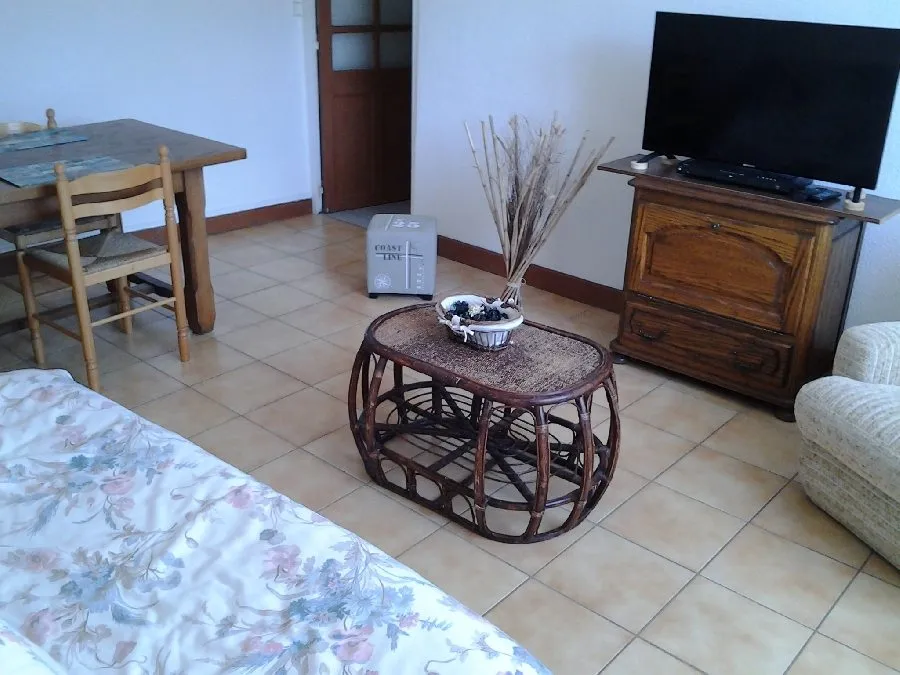 Gite-M-Vassalo-salon - AYG6049