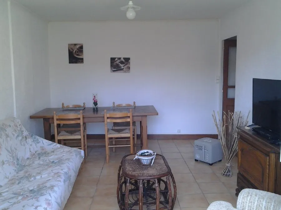 gite-Levezou-m-vassalo-salon-et-salle-a-manger - AYG6049