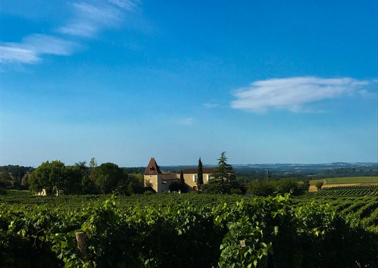 Vignoble Armagnac Gascogne - Domaine de la Poste